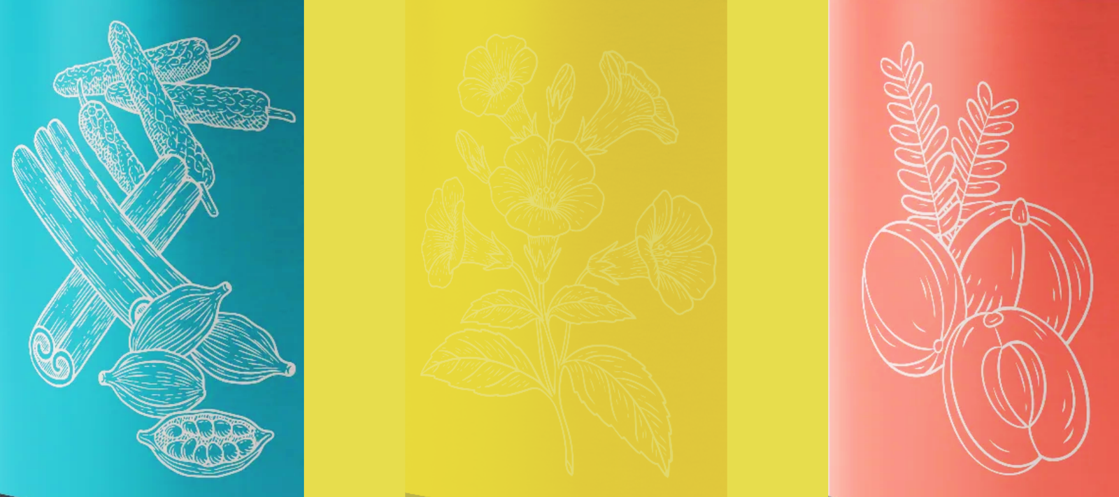 What is an Avaleha / Ayurvedic Herbal Jam Elixir?