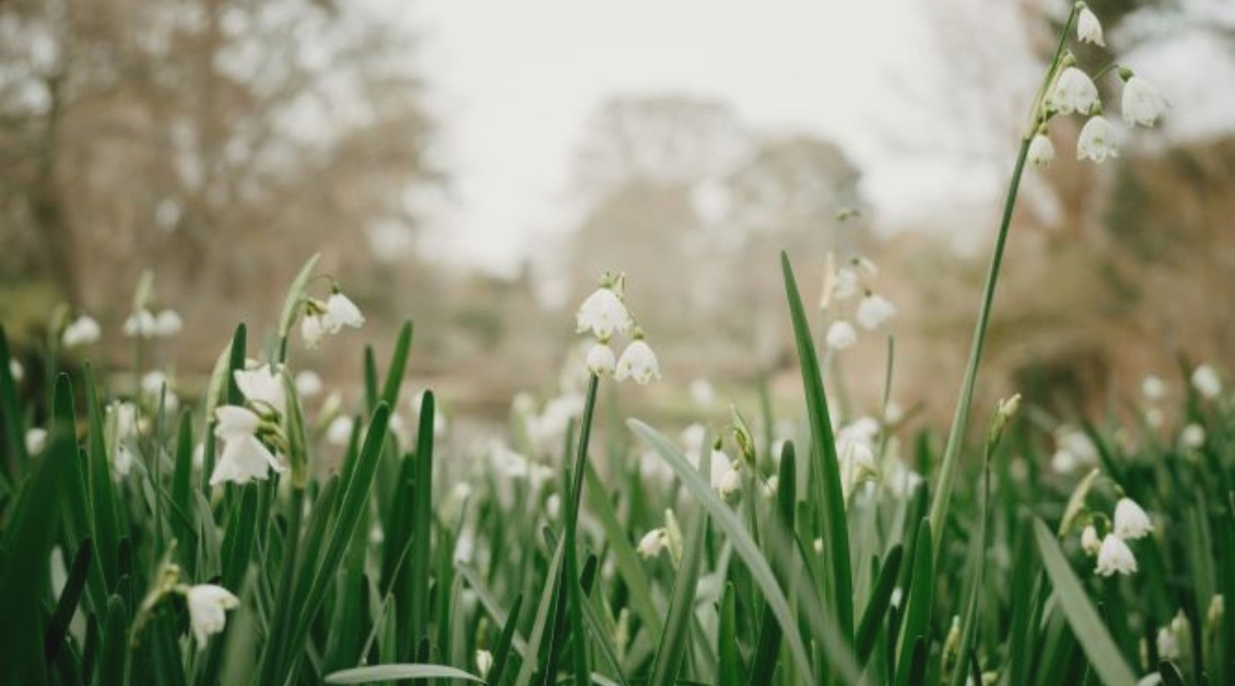 How to thrive during mid-winter