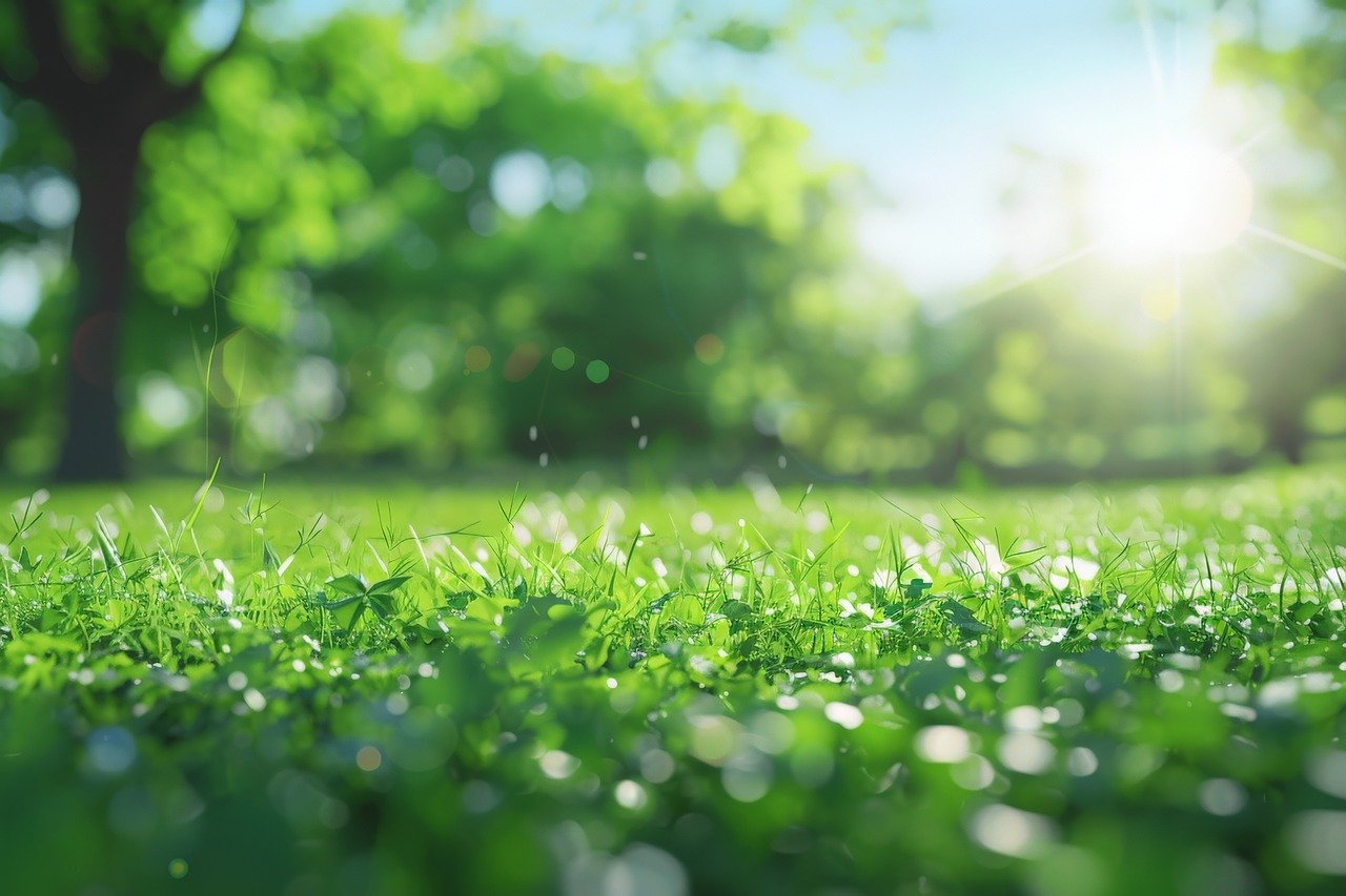 Pitta Season: An Ayurvedic Approach to cooling the inner fire with Herbal Support