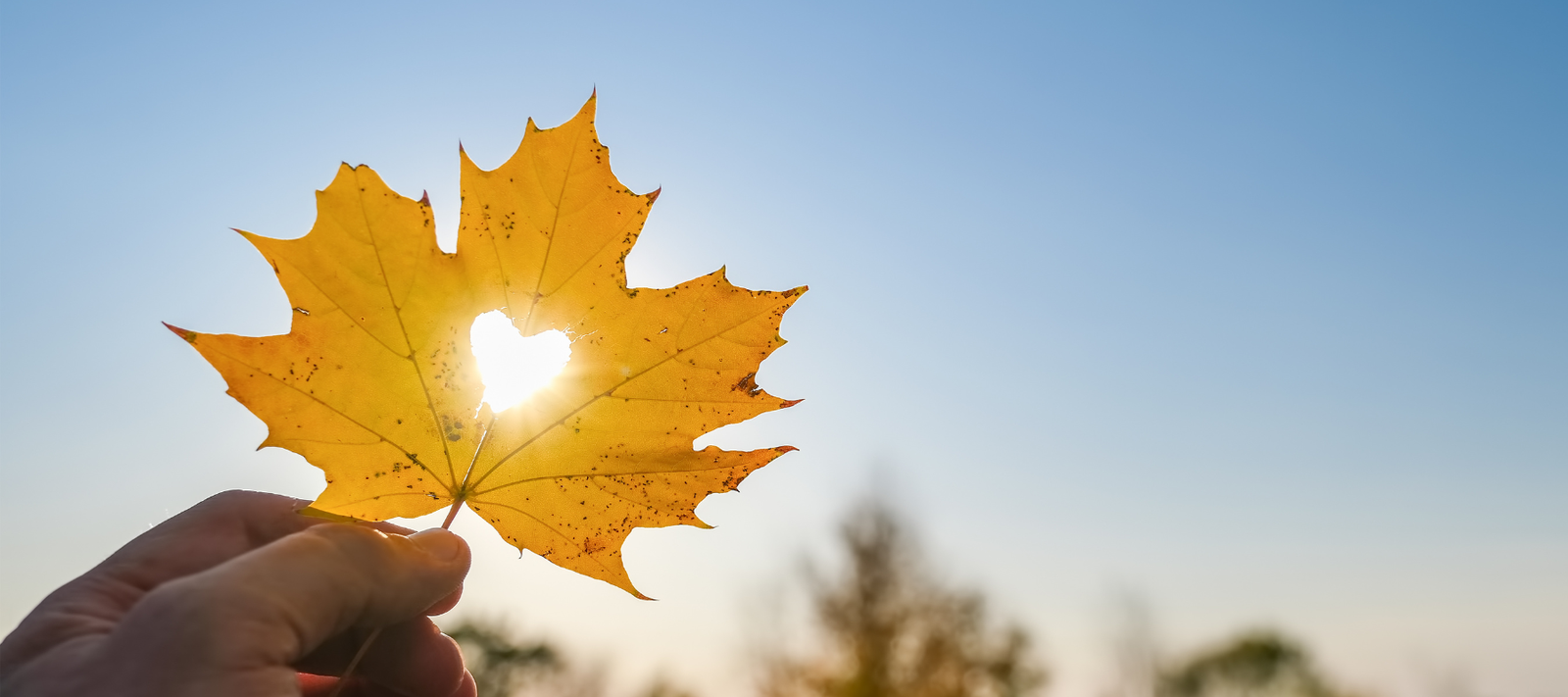 Seasonal Cleansing the Ayurvedic Way