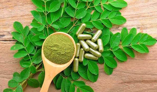 Keep healthy this Winter with Moringa – Tree of Life