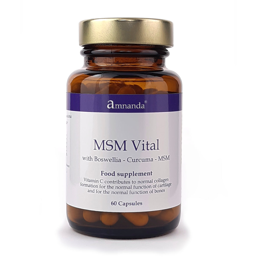 MSM Vital - Joint Support